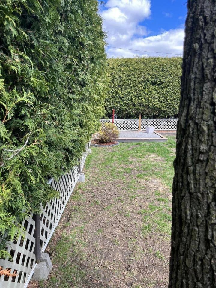 Taille de haies Gatineau