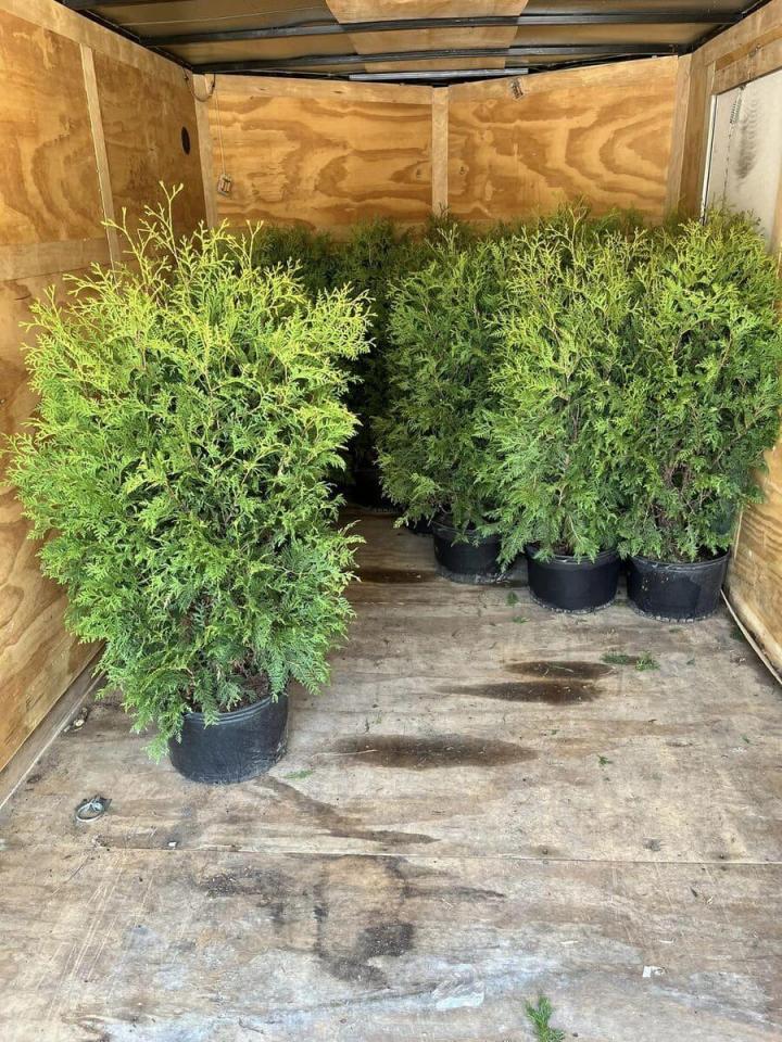 Création de jardin Gatineau