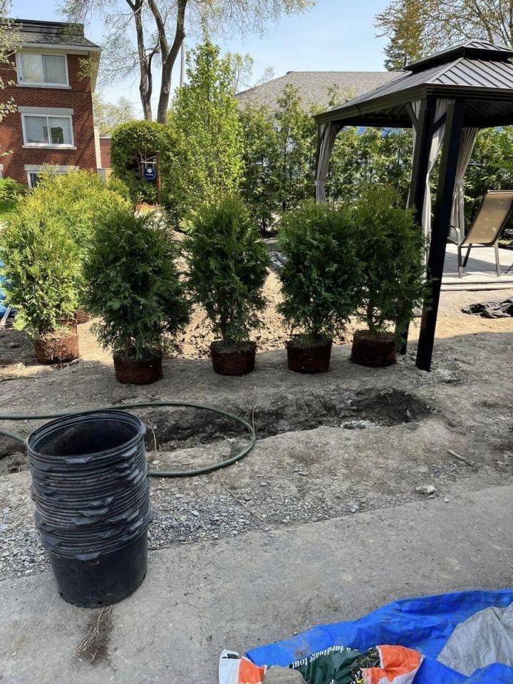 Taille de haies Gatineau