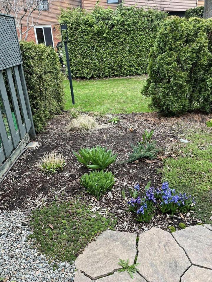 Création de jardin Gatineau