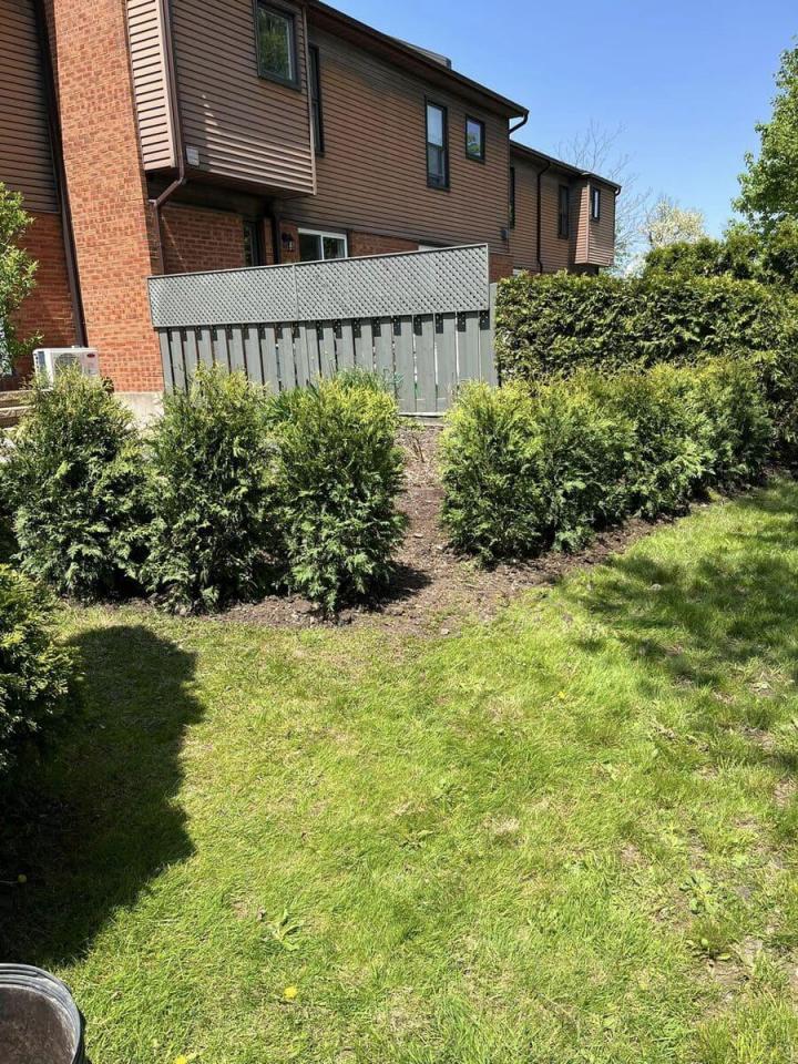 Taille de haies Gatineau