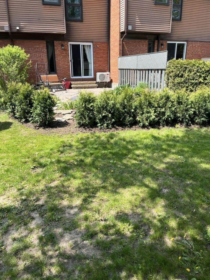 Plantation de cèdres Gatineau