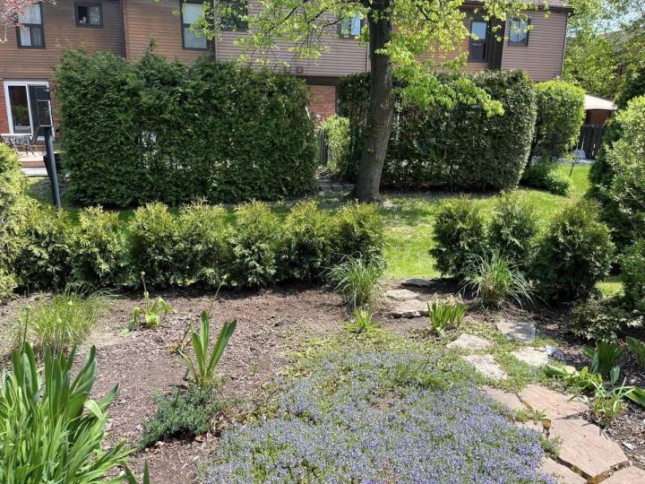 Taille de haies Gatineau